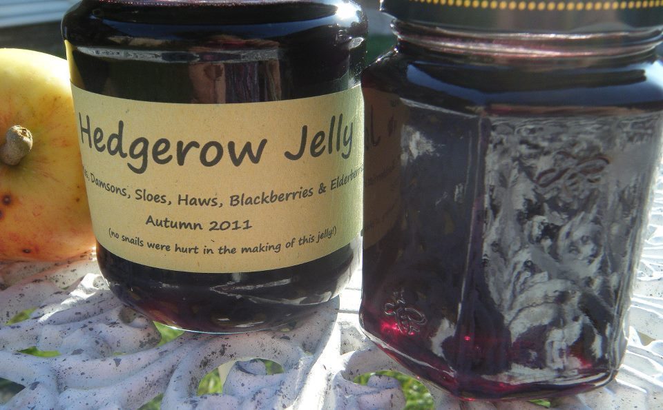 Hedgerow Jelly of Sarah James - Recipefy