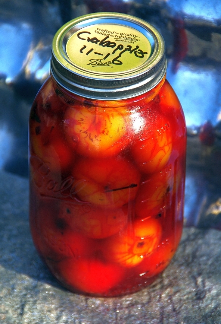 Pickled Crabapples of steve - Recipefy