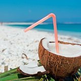 Coconut-rum-drinks