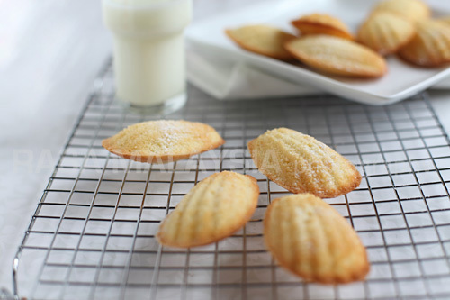 Madeleine de Maddalena - Recipefy