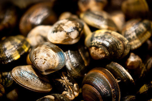 Spaghetti alle vongole of _Barbara - Recipefy