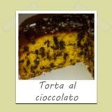 Torta_cioccolato-