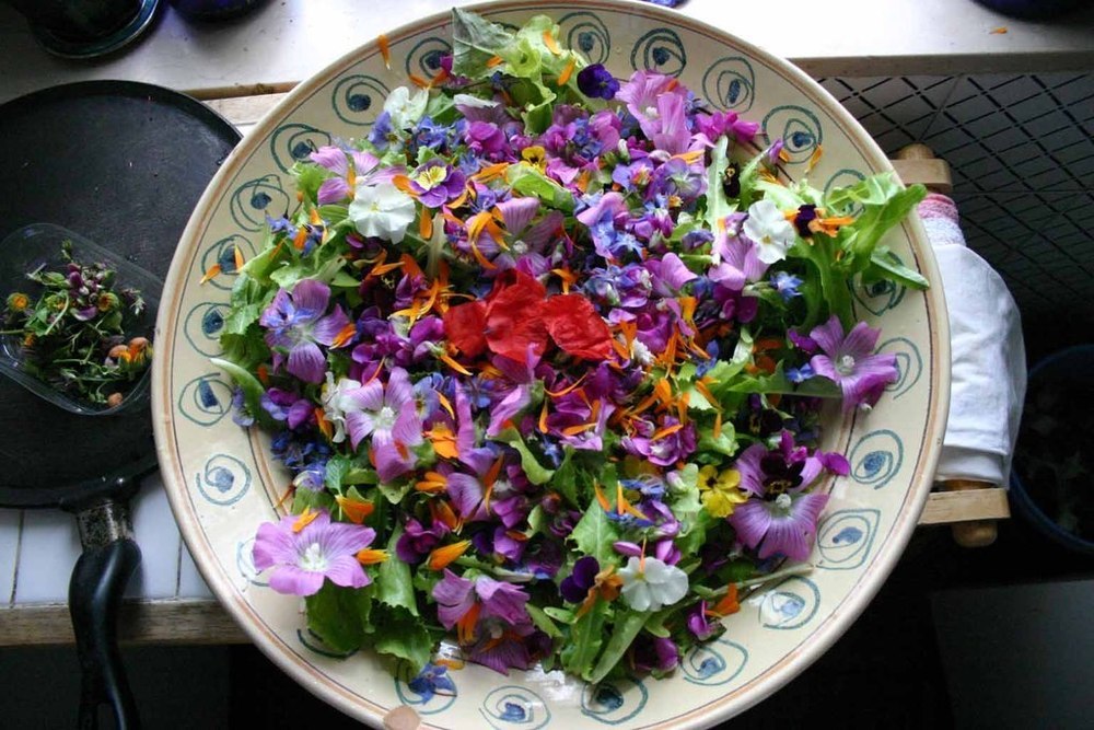 Semplice e chic: craquelé con soia e tè nero, misticanza e fiori of Elena Ganz - Recipefy