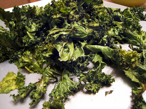 Baked Kale Chips of Christine Meyer - Recipefy