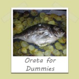 Orata_dummies-