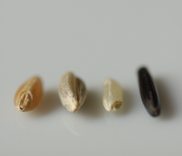 Healthy Rice of Shai Baruch - Recipefy