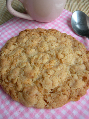 BISCOTTI INTEGRALI AI FIOCCHI D'AVENA di Valentina - Recipefy