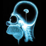 Homer-simpson-wallpaper-brain-1024-jpg