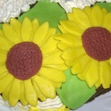 Girasoli-cioccolato-plastico-jpg_7092694