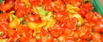 PEPERONI ALLA MESSICANA of Alfy - Recipefy