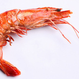 Shrimp-jpg_6310823