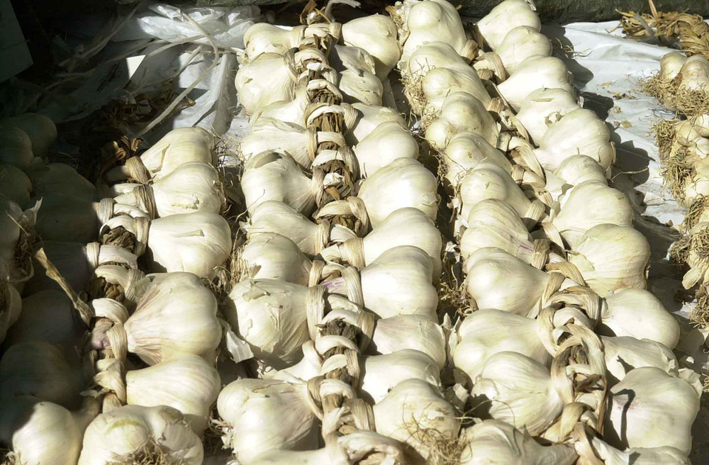 Zuppa d'aglio di Riviera Dei Fiori - Recipefy