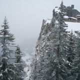 Pb030037-jpg