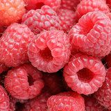 Raspberries-picture-jpg