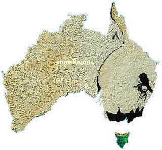 Lamb cobber of Anna01 - Recipefy