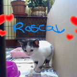 My-dsi-pictures-043-jpg