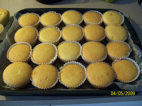 Plain Cupcakes de Molly Teague - Recipefy