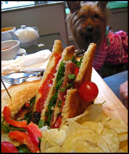 Breakfast Sandwich di debsxx - Recipefy