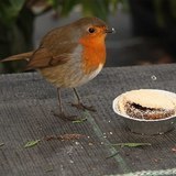 Http-s0-geograph-org-uk-geophotos-01-63-06-1630600_5820ab18-jpg