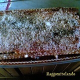 Lasagna-finta2-jpg_7294159