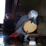 121-jpg