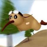 Kiwi-jpg