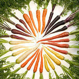 200px-carrots_of_many_colors-jpg