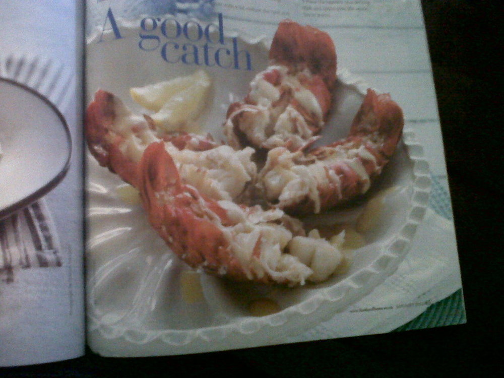 Lobster tails with sparkling wine sauce di Forbidden - Recipefy