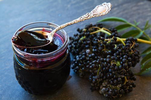 Eucalyptus and Elderberry Jam of Helen Snowdon - Recipefy