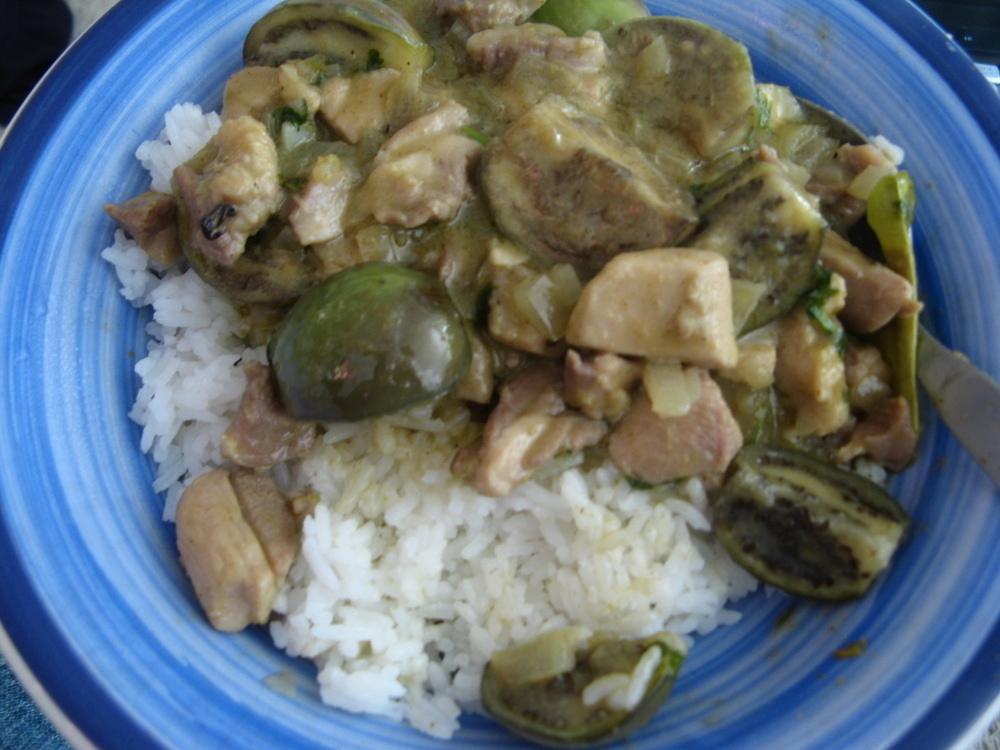 My thai green curry of Cheech Andrea Francesco Albanese - Recipefy