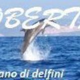 Https-fbcdn-profile-a-akamaihd-net-hprofile-ak-snc4-275618_1717099936_812843500_n-jpg