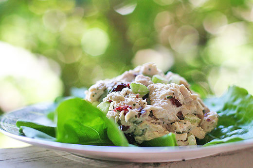 Chicken Salad With Tarragon of Emilia - Recipefy