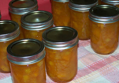 Potato Milk Jam of Zosia wielogorska - Recipefy