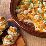 Philly_buffalo_chicken_dip-jpg_5245635