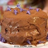 9584_torta_humeda_en_capas_de_chocolate-jpg