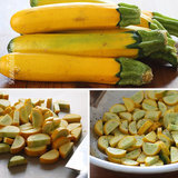 Easy-summer-squash-recipe-jpg