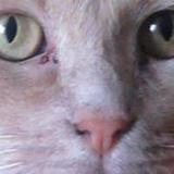 Https-fbcdn-profile-a-akamaihd-net-hprofile-ak-snc7-371388_674385887_1947392976_n-jpg