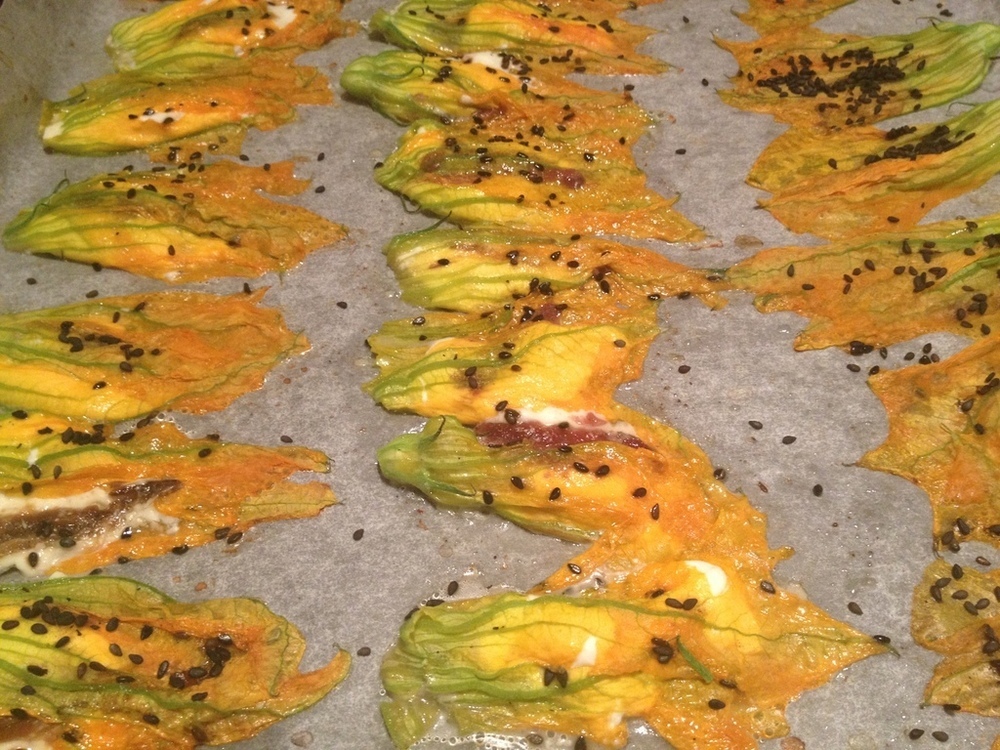 Fiori di Zucca con Philadelphia e Acciughe of Vittorio Pavesi - Recipefy