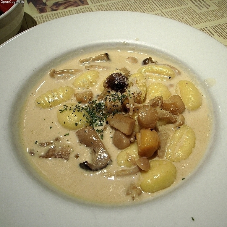 Gnocchi di patate ai funghi porcini di Nicoletta Simonetti - Recipefy