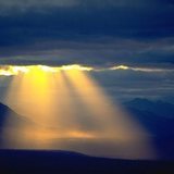 Sun-light-from-above_1042-jpg
