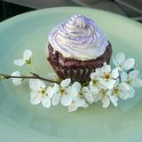 Brownie_cupcake_by_samie_goregeous-jpg_3293003_5105289