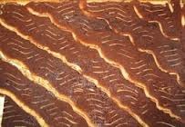 pasta de cigarrillos di daniel-berrocal - Recipefy