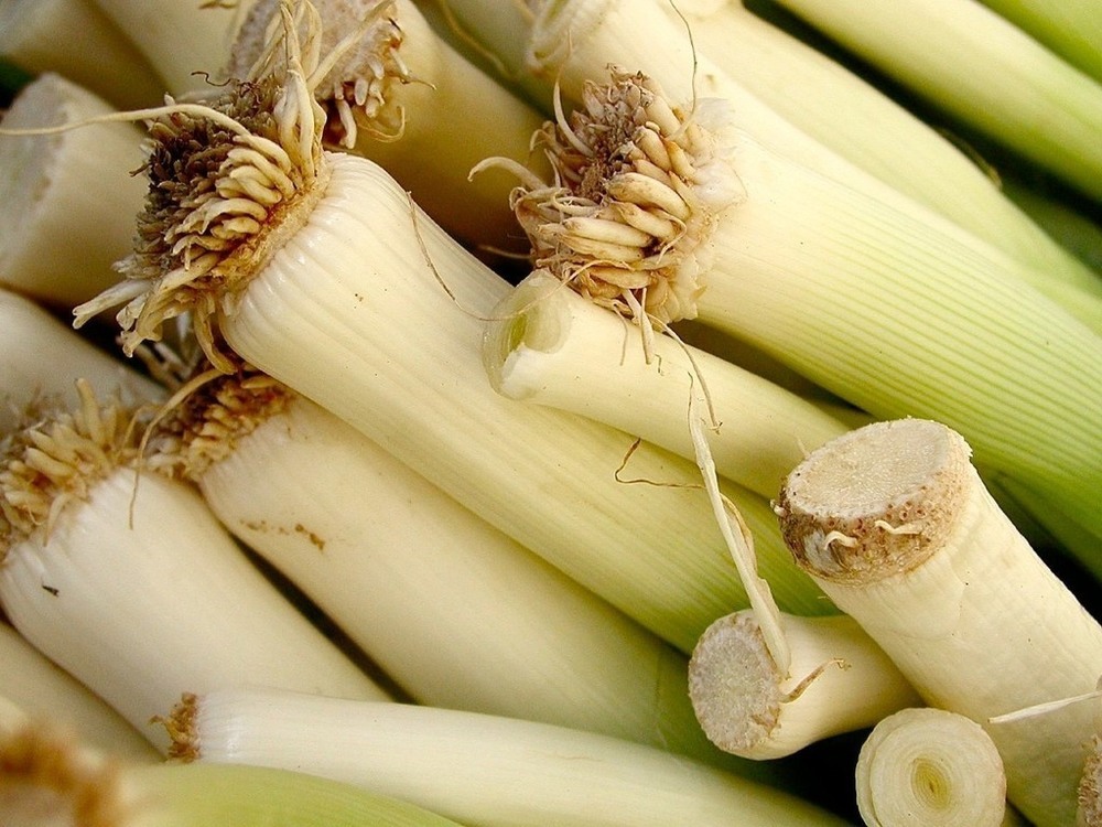 Leek and Tattie Soup, di Sommestone - Recipefy