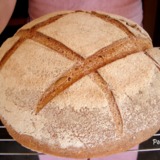 Pan-cateto-
