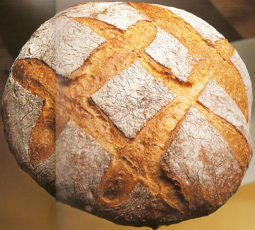 PAN CATETO of Miguel Angel Maldonado Gonzalez - Recipefy