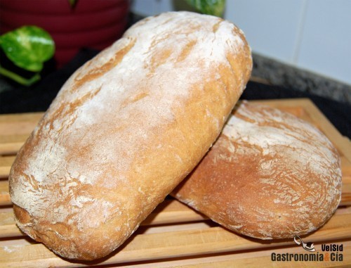 pan chapata of Tania Sanchez Conejo - Recipefy