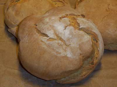PAN CATETO de Julio Reyes Diaz - Recipefy