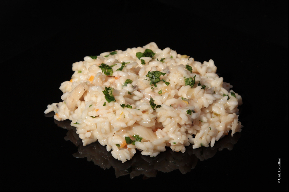 Risotto di “Roma” con le rane of GAL Lomellina - Recipefy