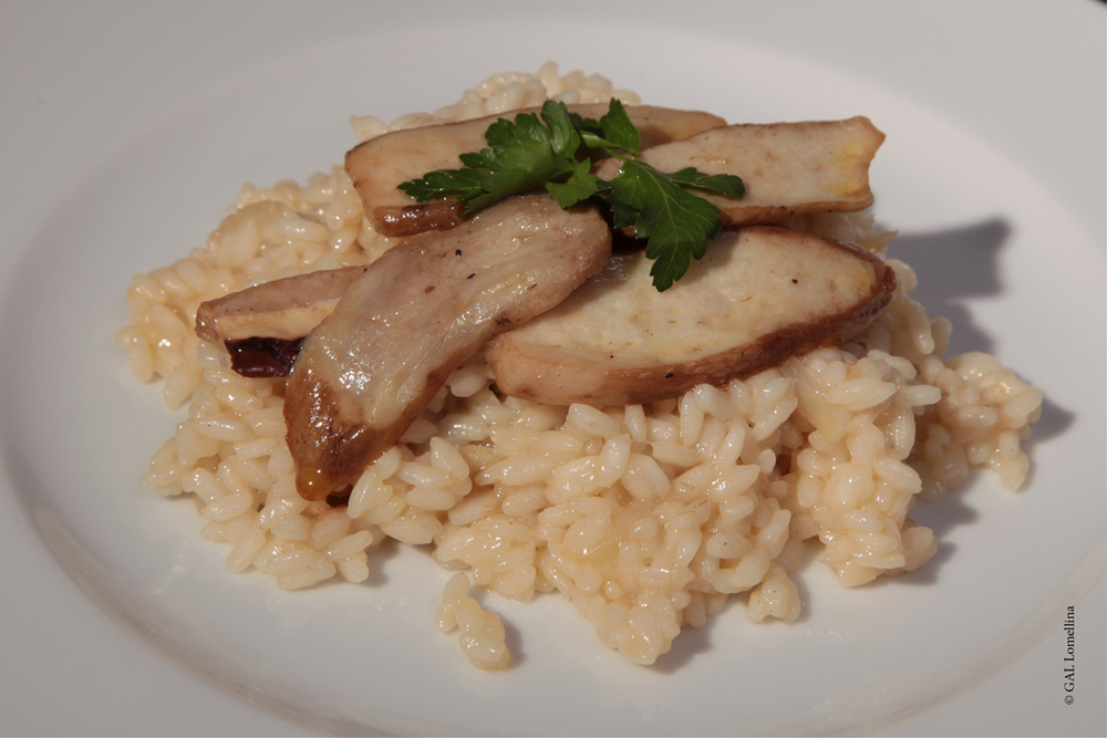Risotto di Baldo ai porcini di Cergnago di GAL Lomellina - Recipefy