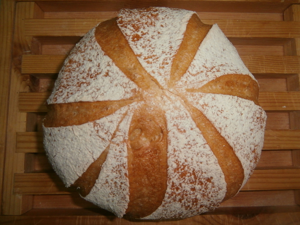 PAN ALCACHOFA of Cati Ballesta - Recipefy